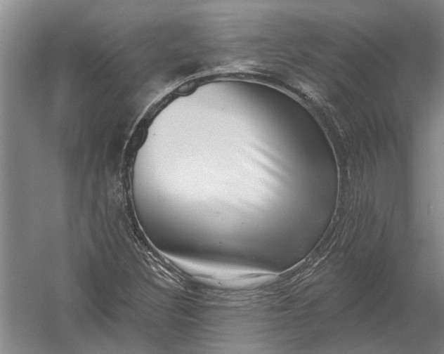 X0000054381308200508191902
