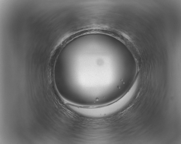 X0000054381310200508191902