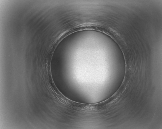 X0000054381313200508191902
