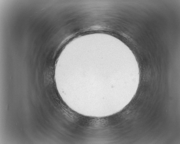 X0000054381314200508191902