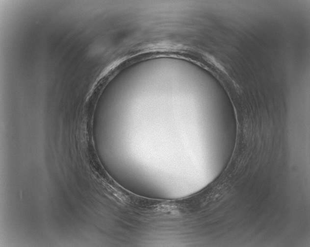 X0000054381315200508191902