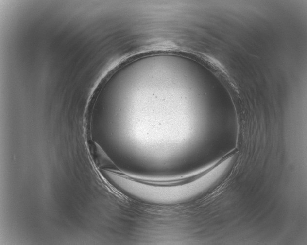 X0000054381326200508191902