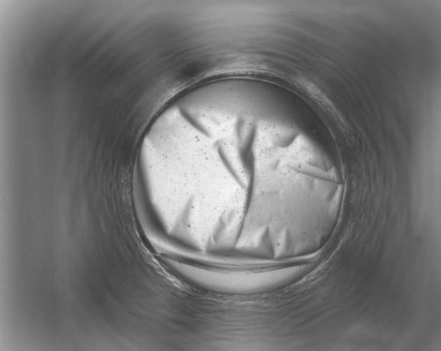 X0000054381329200508191902