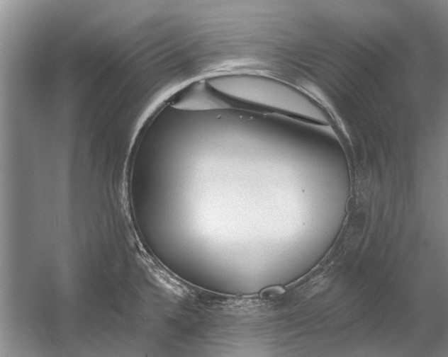 X0000054381336200508191902