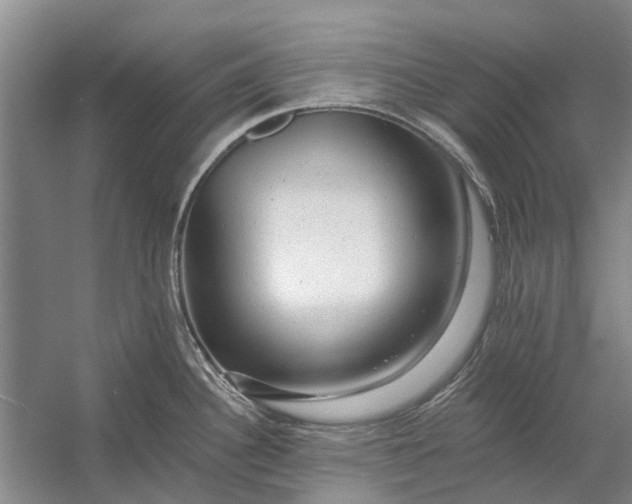 X0000054381340200508191902