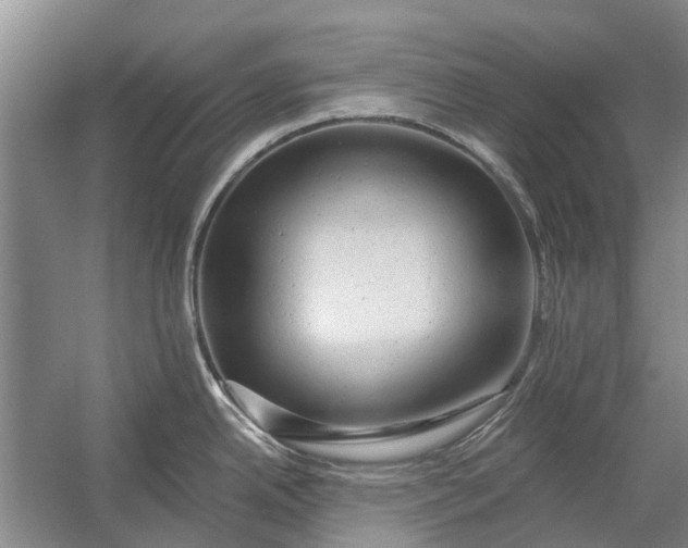 X0000054381342200508191903