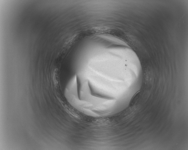X0000054381346200508191902