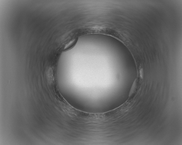 X0000054381347200508191902