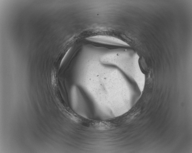 X0000054381348200508191902