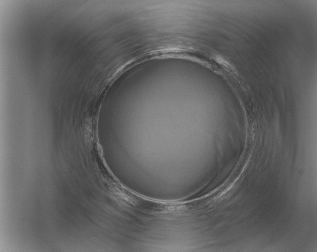 X0000054381353200508191902