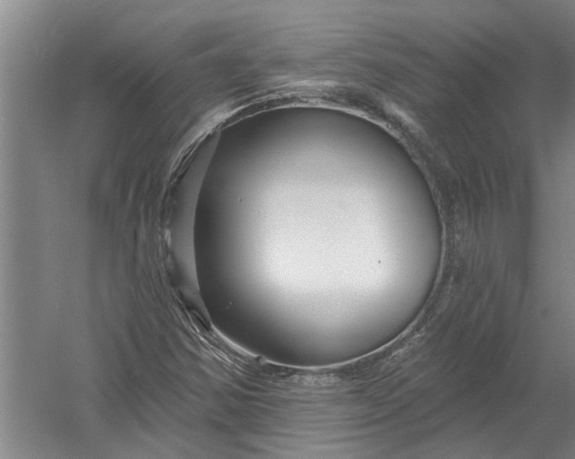 X0000054381354200508191902