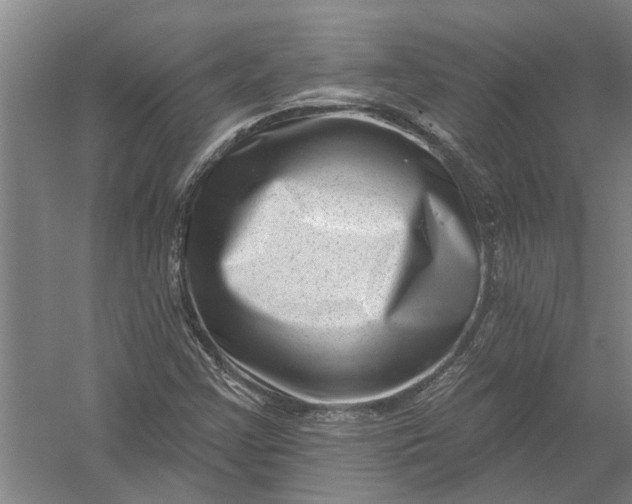X0000054381355200508191902