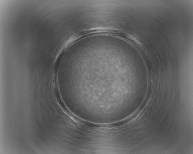 X0000054381357200508191902