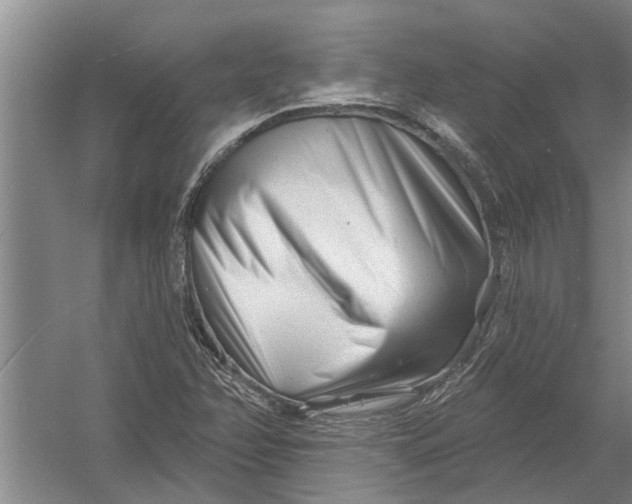 X0000054381358200508191902