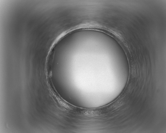 X0000054381366200508191901