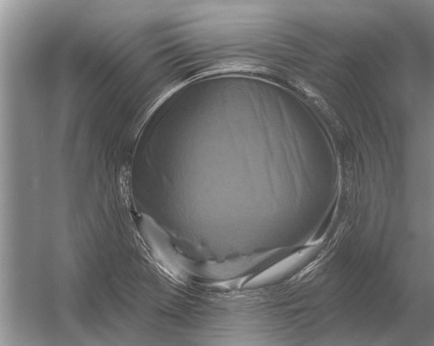 X0000054381369200508191901