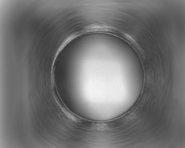 X0000054381370200508191901