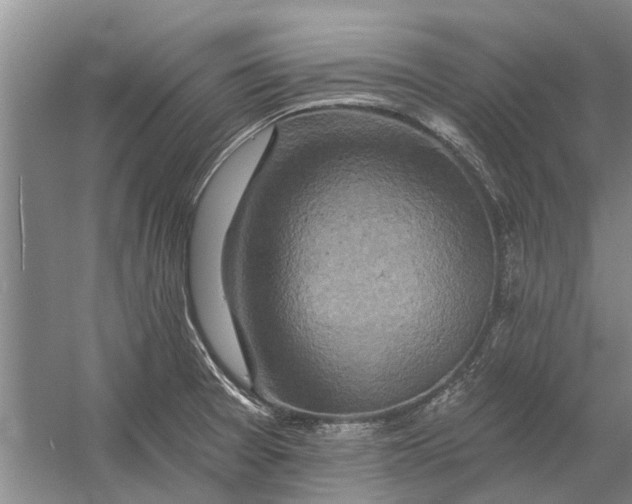 X0000054381377200508191901
