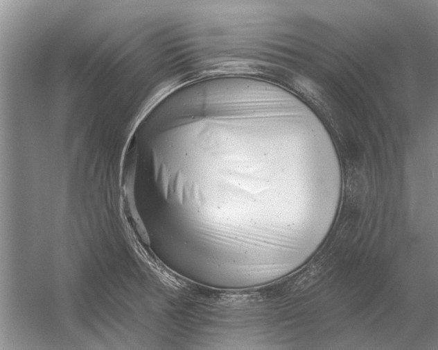 X0000054381378200508191901