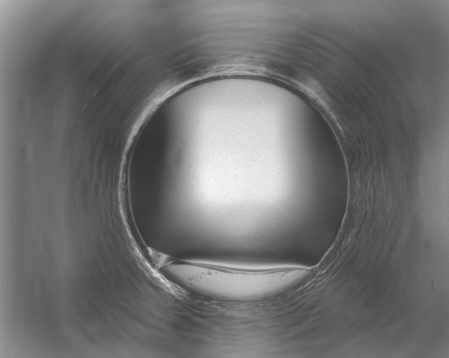 X0000054381379200508191901