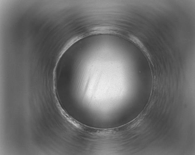 X0000054381386200508191901