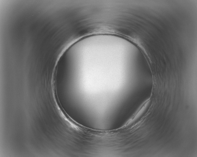 X0000054381387200508191901