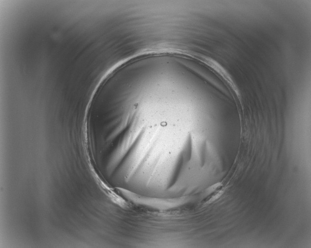 X0000054381388200508191901