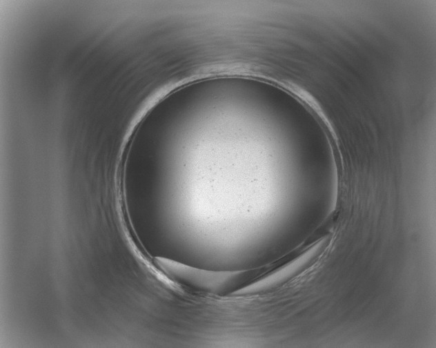 X0000054381389200508191901