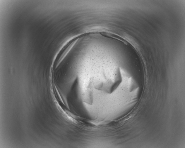 X0000054381392200508191901