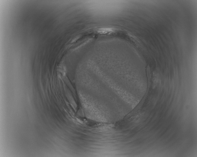 X0000054381394200508191900