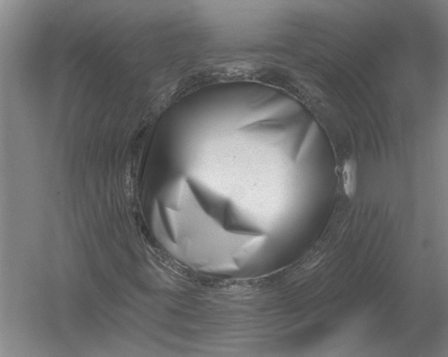 X0000054381395200508191900