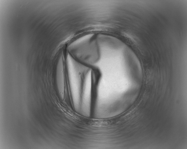 X0000054381403200508191900