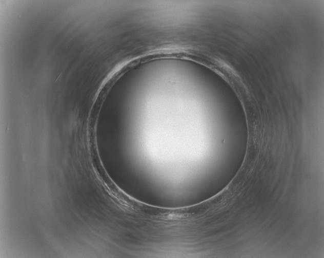 X0000054381412200508191900