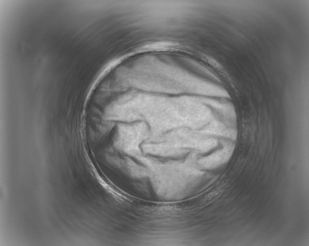 X0000054381421200508191901