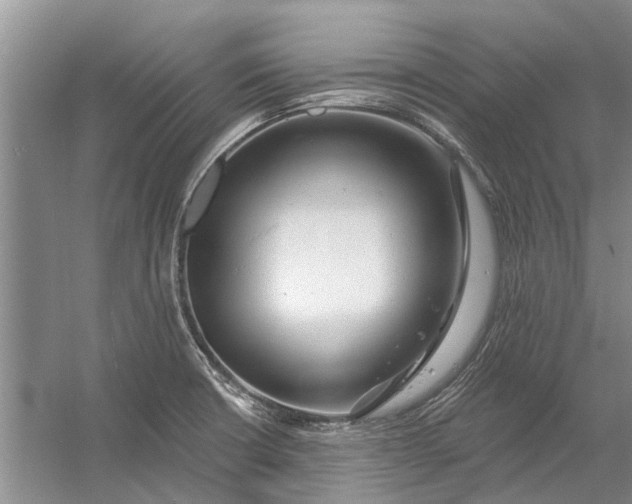 X0000054381426200508191901