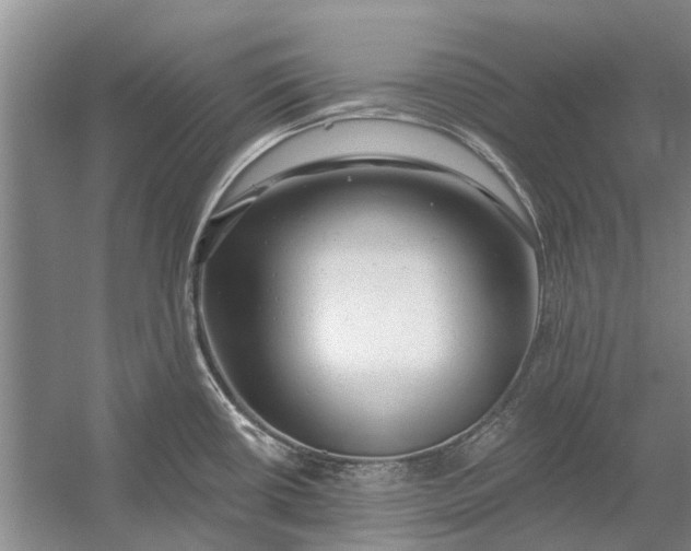 X0000054381434200508191901