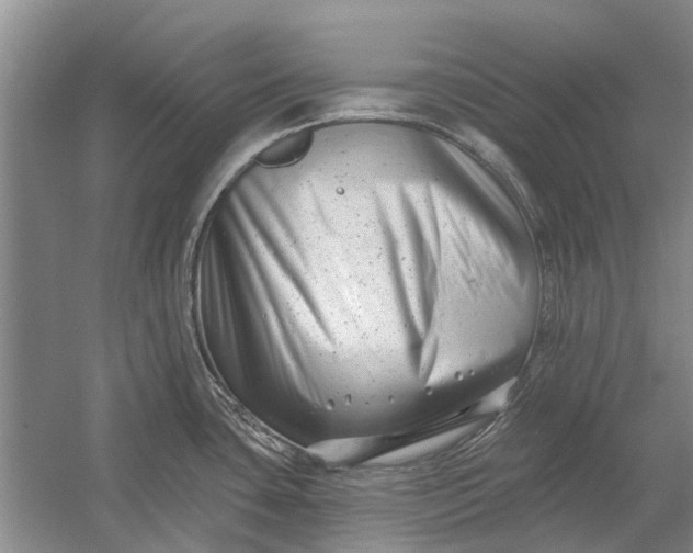 X0000054381435200508191901