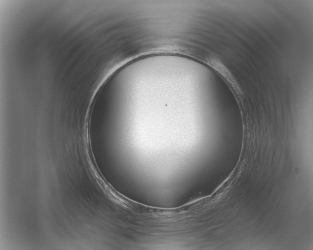 X0000054381436200508191901