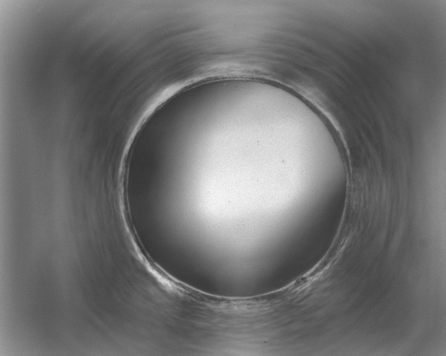 X0000054381437200508191901