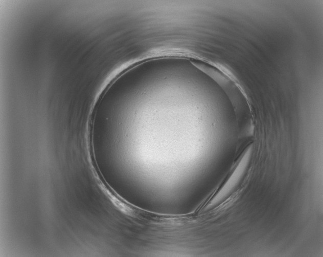 X0000054381438200508191901