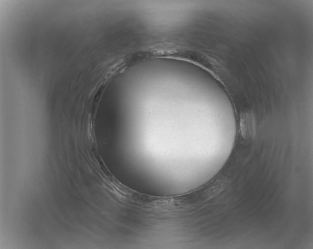 X0000054381444200508191900