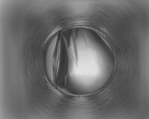 X0000054381450200508191900