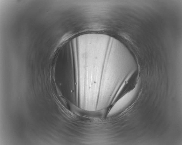 X0000054381451200508191900