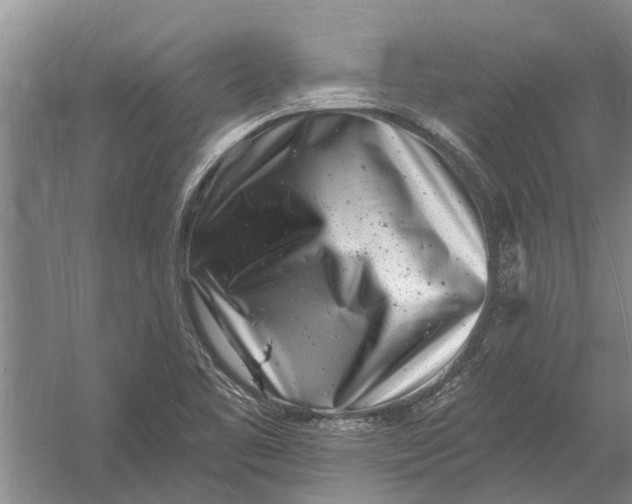 X0000054381461200508191900