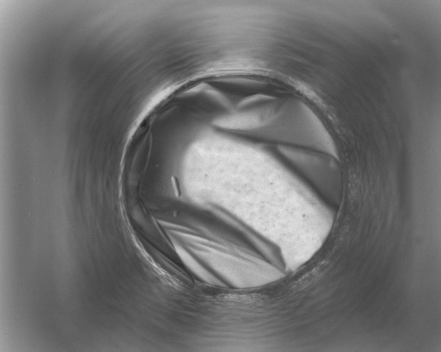 X0000054381469200508191900