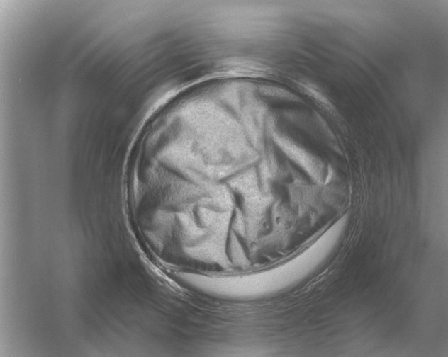X0000054381471200508191900