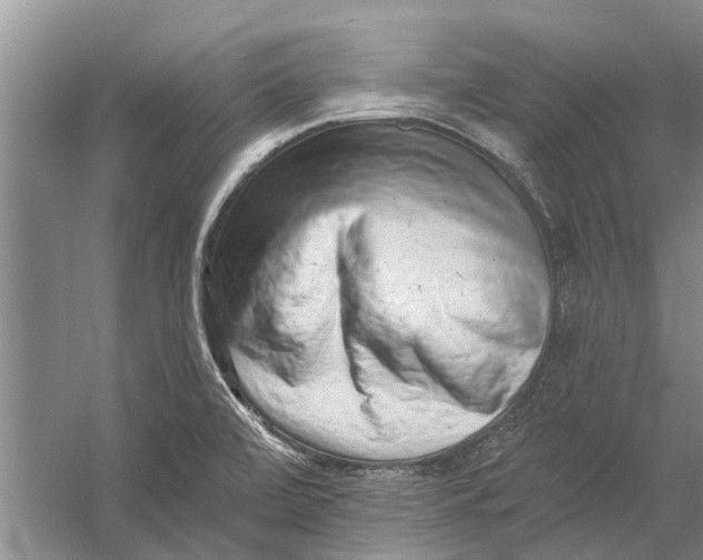 X0000054381472200508191900