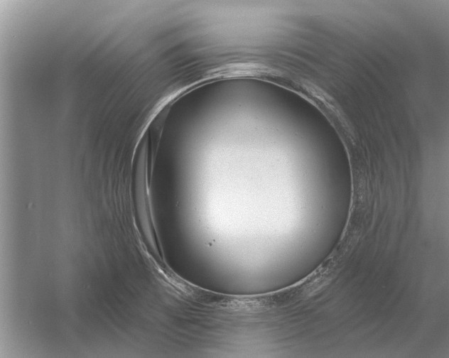 X0000054381473200508191900