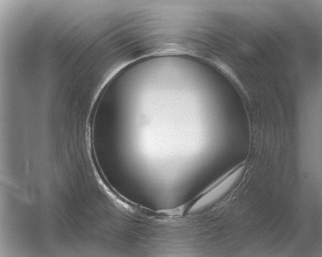 X0000054381476200508191859