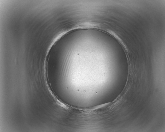 X0000054381477200508191859